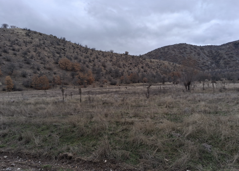 ÇANKIRI ILGAZ'DA 677 M2 SATILIK HİSSELİ TARLA